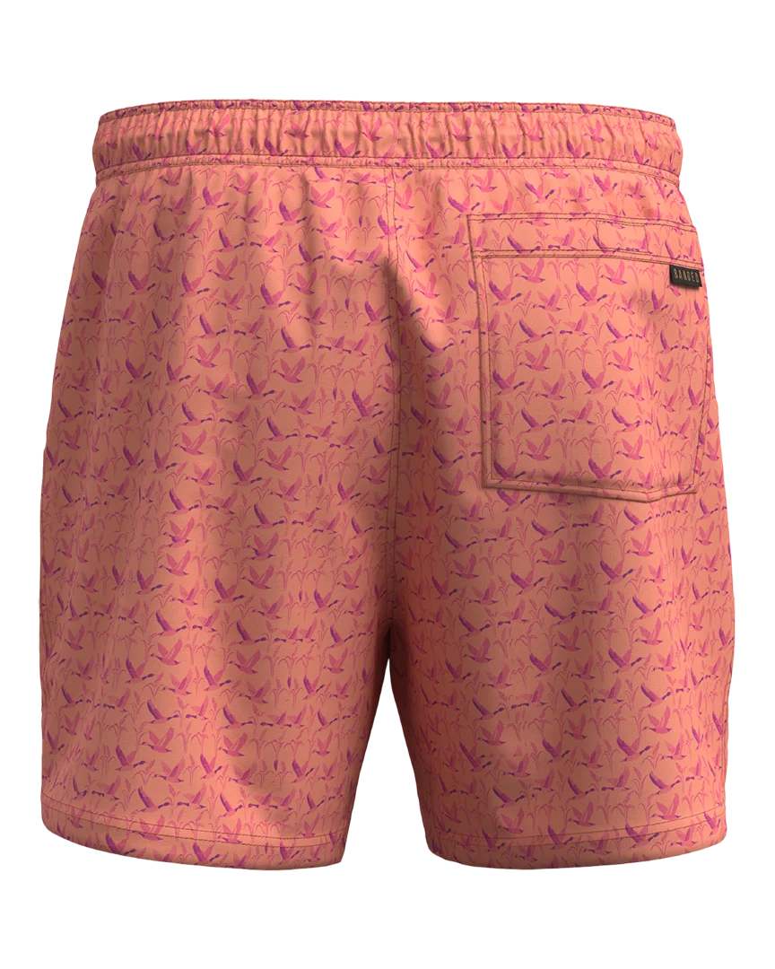 Thumbnail 20